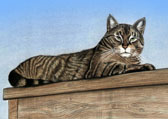 Deck Railing Kitty